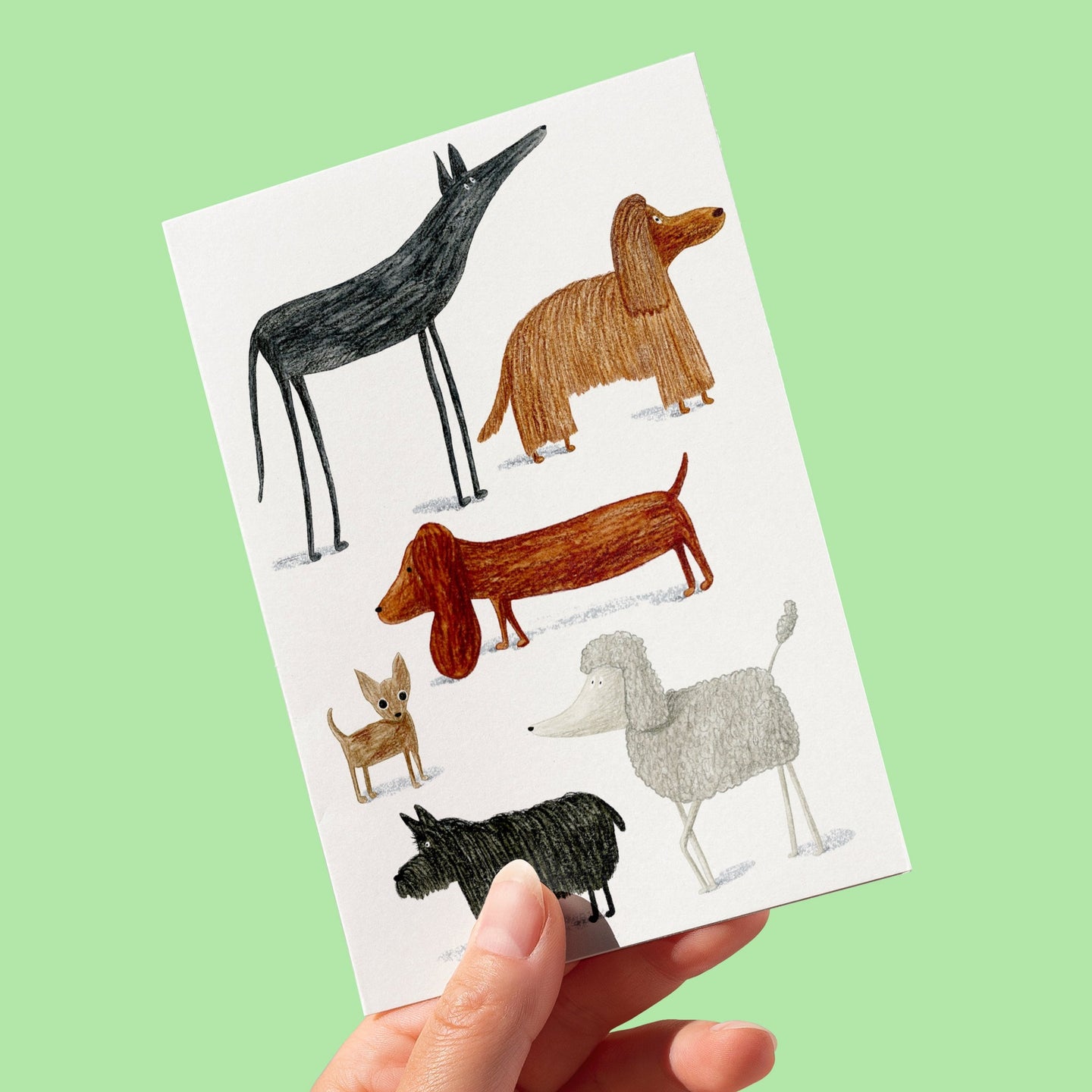 Dogs greeting card