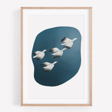 Load image into Gallery viewer, Print of illustrated birds flying n the sky 
