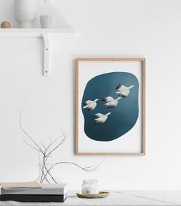 Print of illustrated birds flying n the sky 
