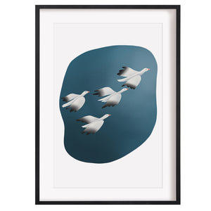 Flying birds art print